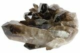 Dark, Smoky Quartz Crystal Cluster - Brazil #79883-2